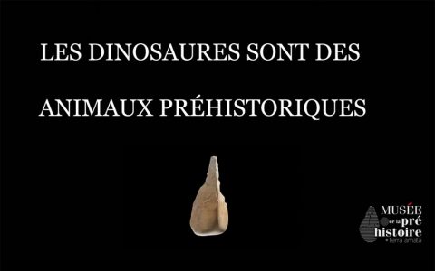 Idée reçue : Les dinosaures sont des animaux préhistoriques