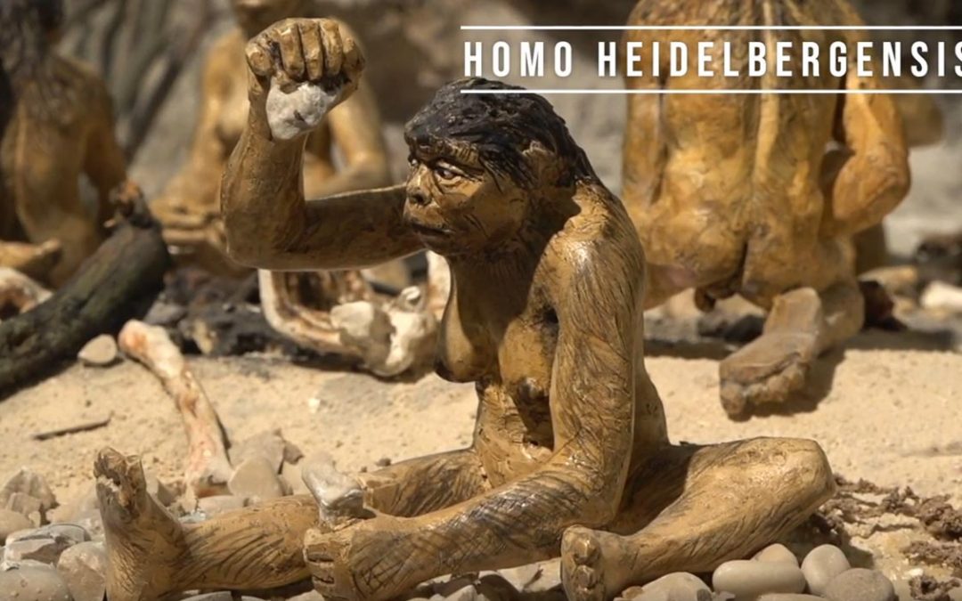 Bienvenue au Musée de Préhistoire de Terra Amata