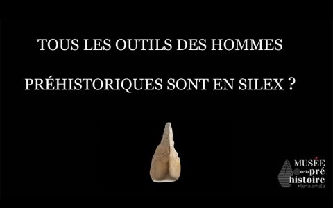 Idée reçue : Les outils des hommes préhistoriques étaient tous en silex