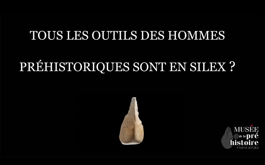 Idée reçue : Les outils des hommes préhistoriques étaient tous en silex