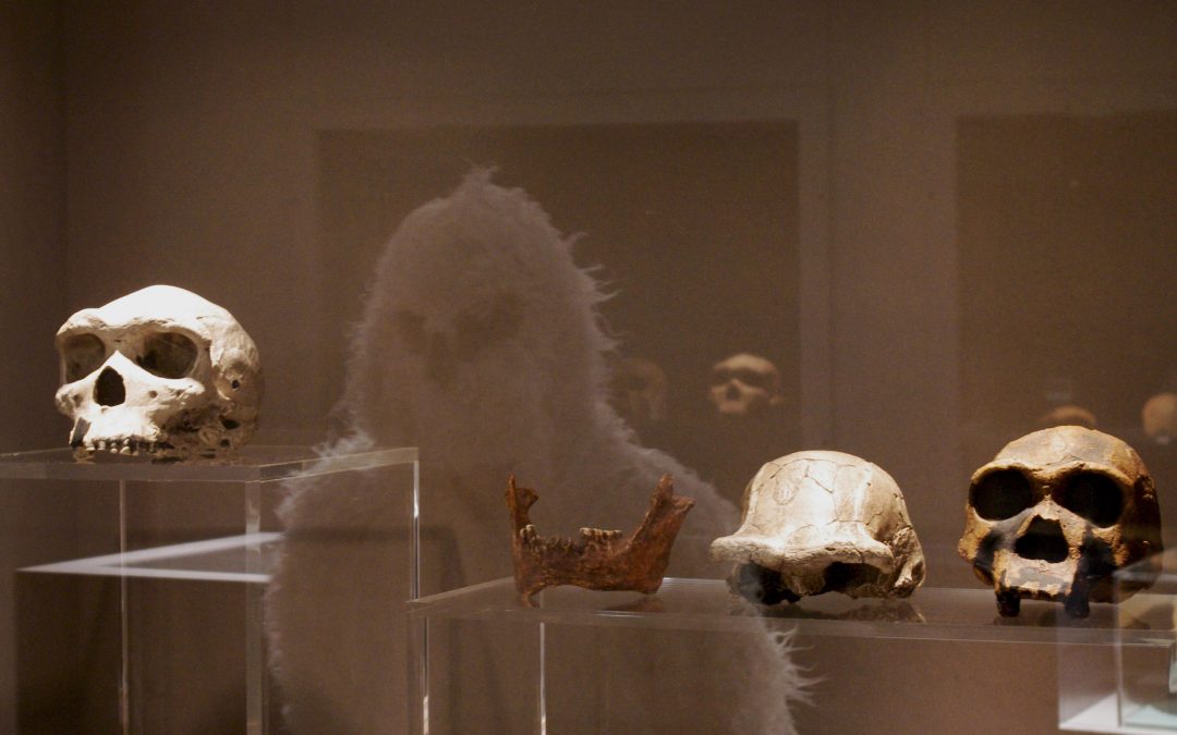 Le Yéti découvre la Préhistoire au musée de Terra Amata