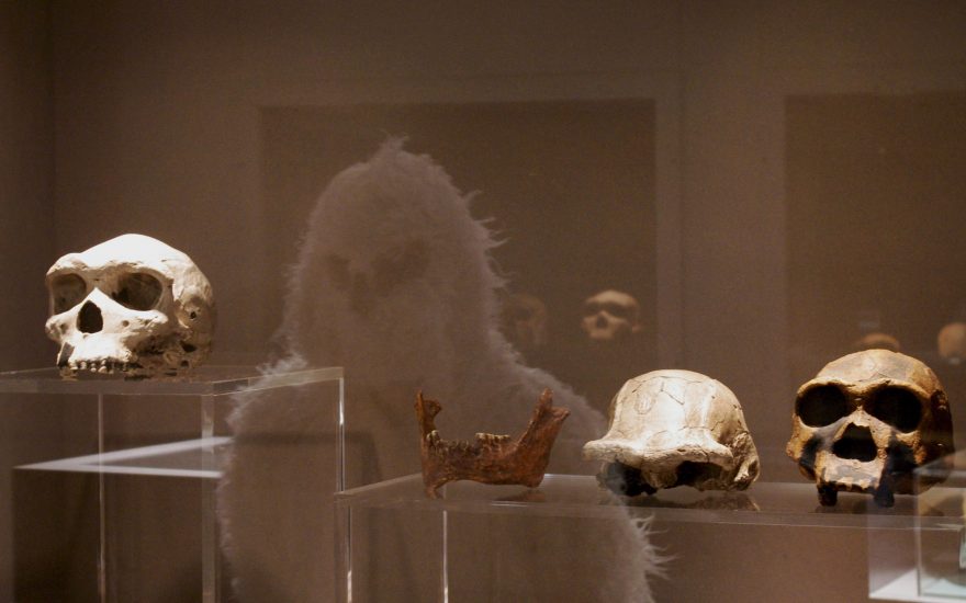 Le Yéti découvre la Préhistoire au musée de Terra Amata