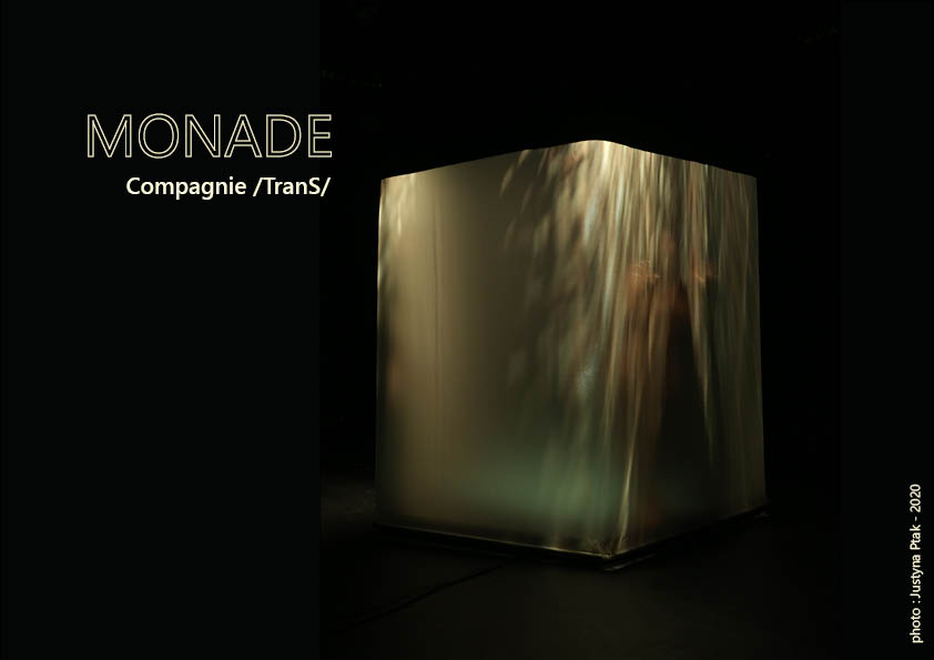 MONADE Compagnie /TranS/ – Création danse, musique et numérique.