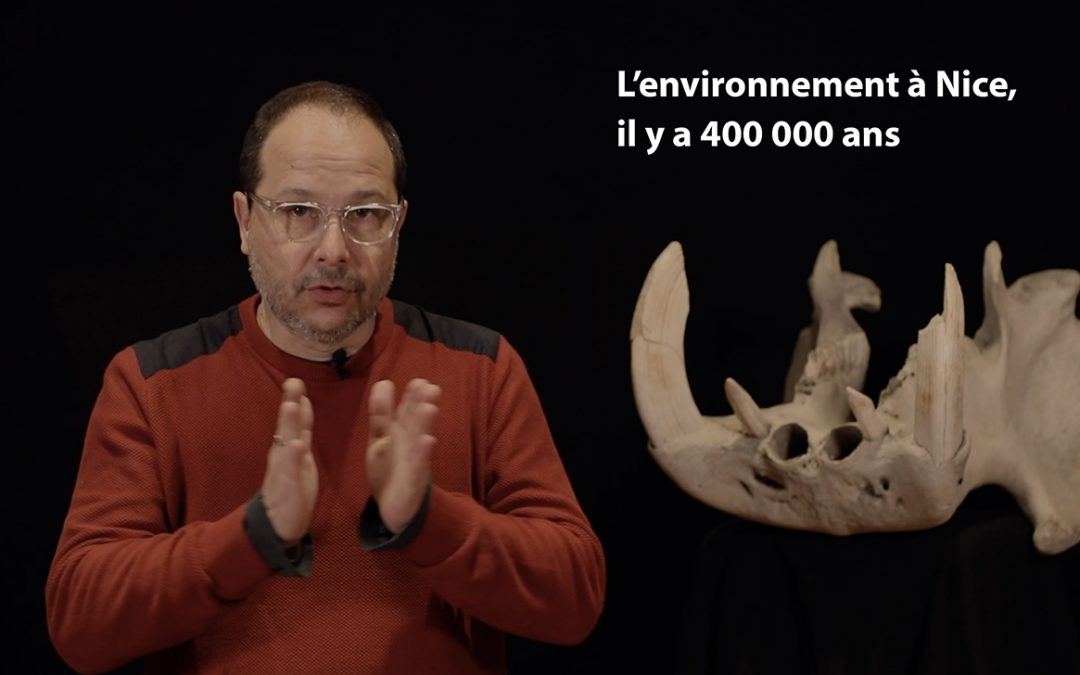 Environnement, il y a 400 000 ans à Terra Amata