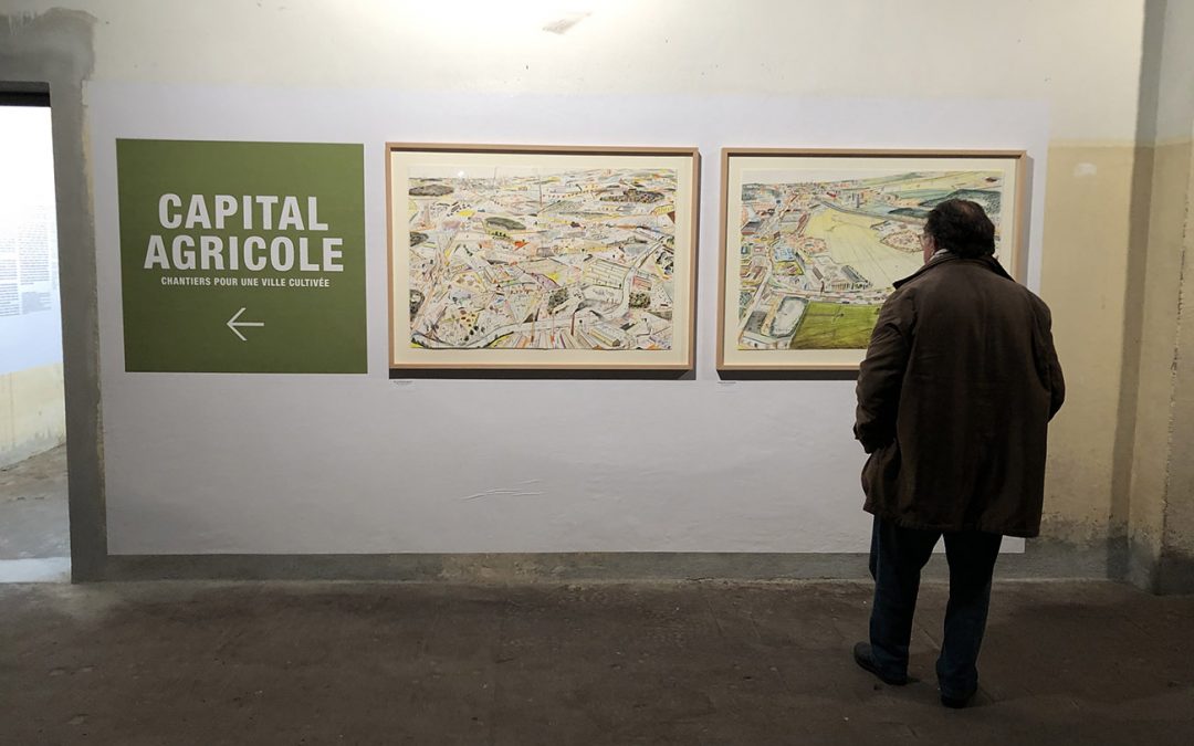 Retour sur l’exposition « Capital agricole, chantiers pour une ville cultivée »