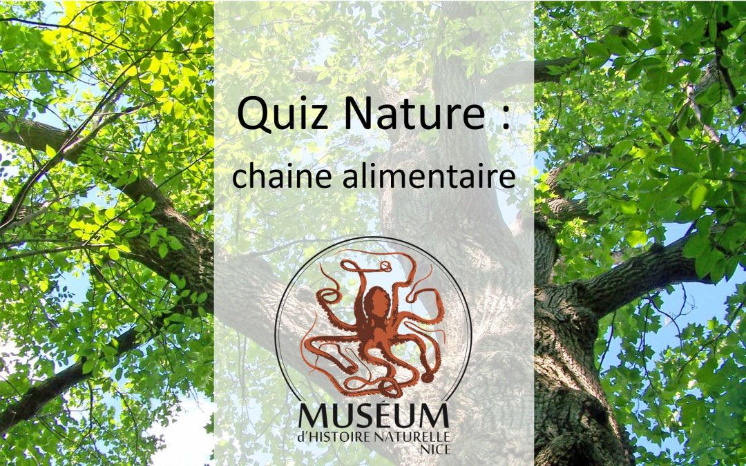 Quiz Nature : chaine alimentaire