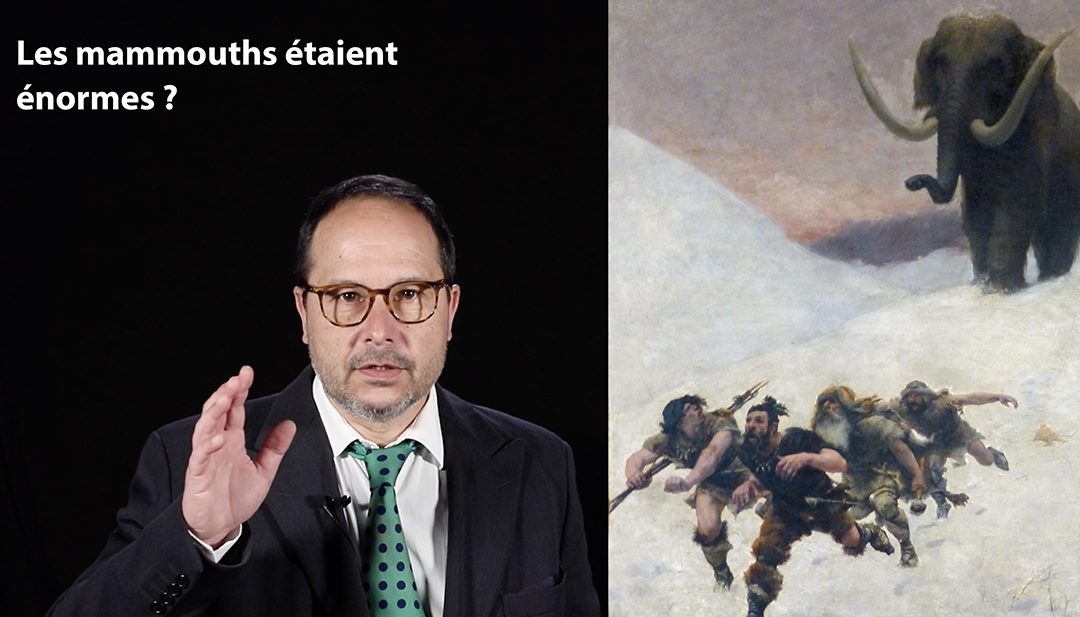Idée reçue : les mammouths étaient énormes ?