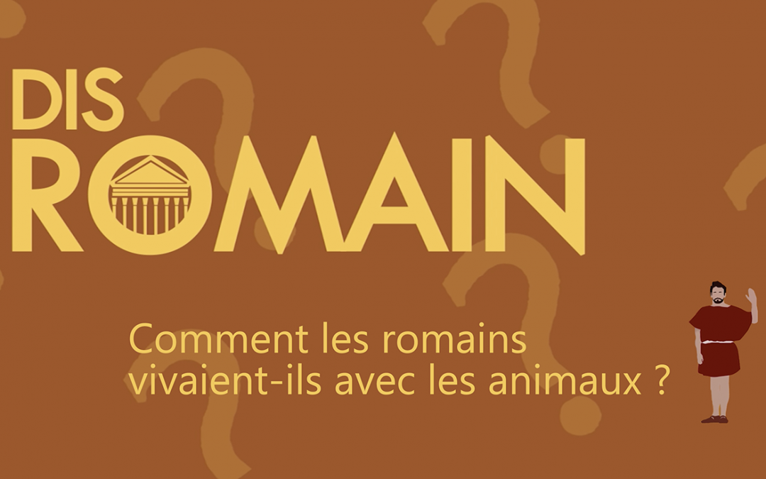 Dis Romain, comment les romains vivaient-ils avec les animaux ?